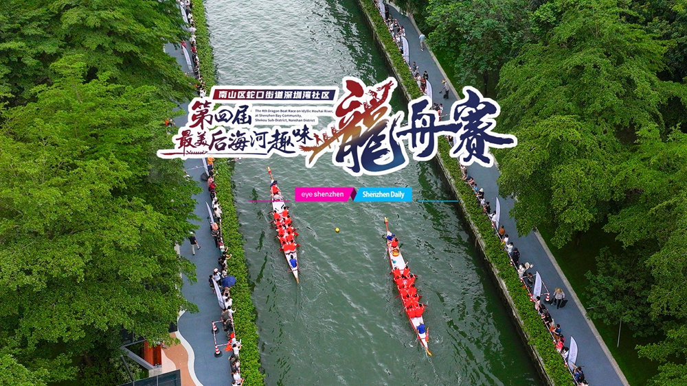 Shekou dragon boat race draws expats, spectators