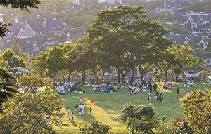 新公園新空間 科技范咖啡香